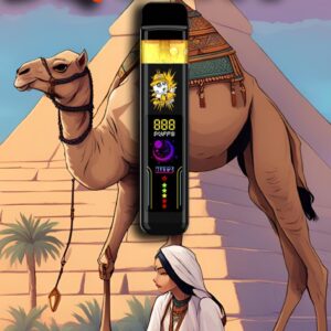 hitz 2g disposable habibi squirt